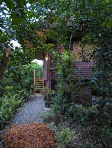 dark lush cottage entrance