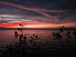 dramatic sunset blurry