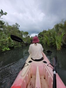 kayak pov gregor australia booking.com