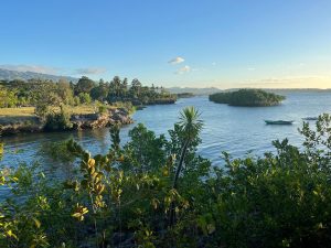 nice color resto view